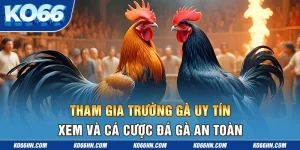 Tham Gia Trường Gà Uy Tín - Xem Và Cá Cược Đá Gà An Toàn